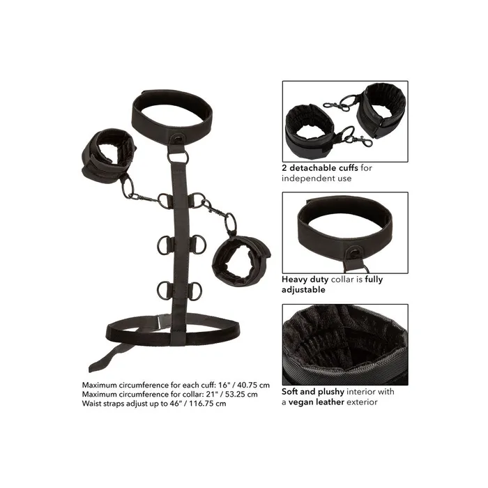 California Exotic Female Sex Toys | Boundless Collar Body Restraint