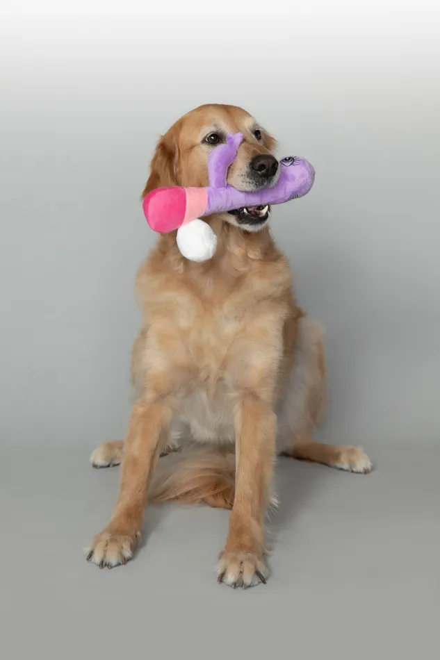 Scruffy Vibrators | Scruffy - Bunny Vanderpup Scruffy Vibrators | Scruffy - Bunny Vanderpup