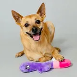 Scruffy Vibrators | Scruffy - Bunny Vanderpup Scruffy Vibrators | Scruffy - Bunny Vanderpup